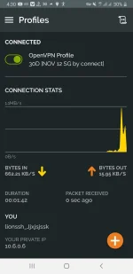 Screenshot_20221112-043043_OpenVPN Connect.webp