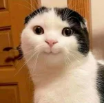 90b8383b7b0d3e68e8ee7803a2e633f1.webp 90b8383b7b0d3e68e8ee7803a2e633f1.webp