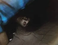 kagabi.jpg