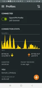Screenshot_20221112-193226_OpenVPN Connect.webp Screenshot_20221112-193226_OpenVPN Connect.webp