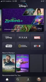 disney pro.webp