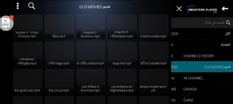 IPTV PRFILE LOGOPLAYER.webp