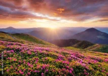 images (10).webp