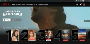 netflix.webp