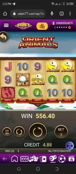 Screenshot_20221116-142217.webp