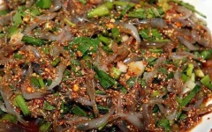 Shrimp.webp