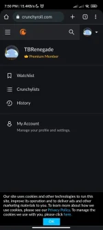 Screenshot_2022-11-17-19-50-11-648_com.android.chrome.jpg