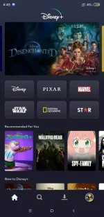 Screenshot_2022-11-19-04-45-07-882_com.disney.disneyplus.webp