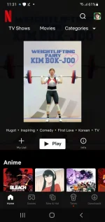 Screenshot_20221119-113149_Netflix.webp