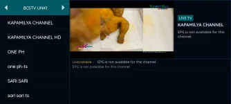 Screenshot_20221119-170020_VIP-TV.webp
