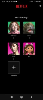 Screenshot_2022-11-20-07-14-28-676_com.netflix.mediaclient.webp