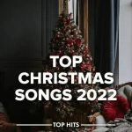 topp.webp