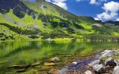 16.webp
