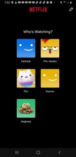 Screenshot_20221122-193211_Netflix.webp