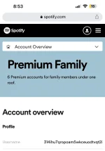 Account overview - Spotify.png.webp