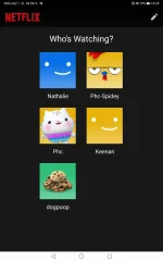 Screenshot_20221123_202951_com.netflix.mediaclient.webp