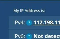 ip.JPG