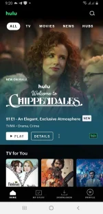 Screenshot_20221123-212059_Hulu.webp