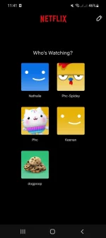 Screenshot_20221123-234156_Netflix.webp
