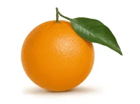 1669264569642.webp