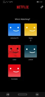 Screenshot_20221124_164452_com.netflix.mediaclient.webp