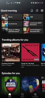 Screenshot_20221125_111814_com.spotify.music.webp