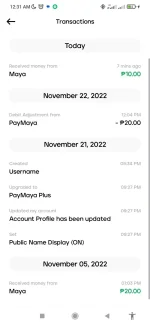 Screenshot_2022-11-26-00-31-11-952_com.paymaya.webp