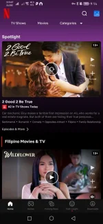 Screenshot_20221126_091454_com.netflix.mediaclient.webp