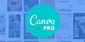 Cαиνα-pro-sinirsiz-44944812.webp