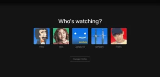 netflx.webp