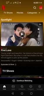 Screenshot_20221126_154811_com.netflix.mediaclient.webp