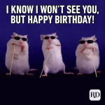 BirthdayMeme1.webp
