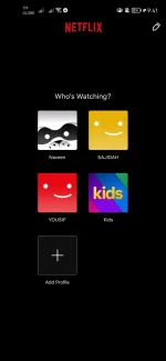 Screenshot_20221128_094121_com.netflix.mediaclient.webp
