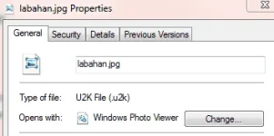 Capture.webp