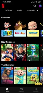 Screenshot_2022-11-30-11-32-12-890_com.netflix.mediaclient.webp