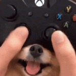 200.gif