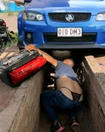 1669866785798.webp