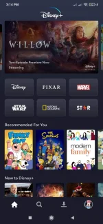 Screenshot_2022-12-01-15-14-16-168_com.disney.disneyplus.webp