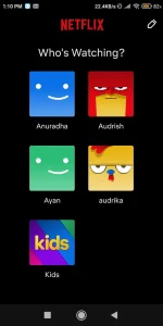 Screenshot_2022-12-03-13-10-41-349_com.netflix.mediaclient.webp