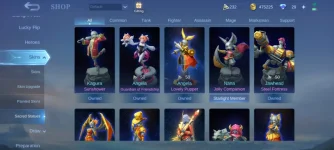 Mobile Legends Bang Bang_2022-12-03-18-35-19.jpg