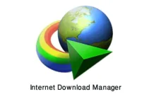 IDM.webp