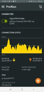 Screenshot_20221204-101822_OpenVPN Connect.webp Screenshot_20221204-101822_OpenVPN Connect.webp