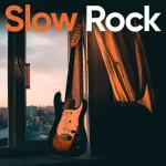 sloww.webp sloww.webp