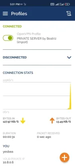 Screenshot_2022-12-05-17-01-18-457_net.openvpn.openvpn.webp