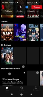 Screenshot_2022-12-07-16-57-26-892_com.netflix.mediaclient.webp