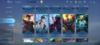 Screenshot_2022-12-09-10-31-51-638_com.mobile.legends.jpg