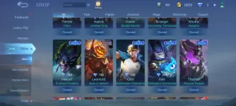 Screenshot_2022-12-09-10-32-19-822_com.mobile.legends.jpg