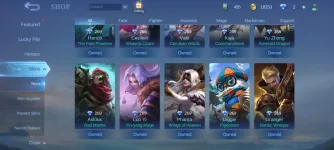 Screenshot_2022-12-09-10-33-14-723_com.mobile.legends.jpg