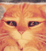 200.gif