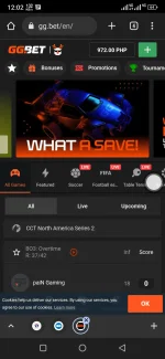 Screenshot_20221212-120250.webp